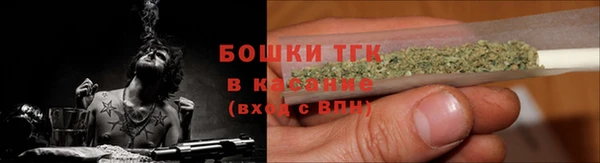 прущий лед Алексин