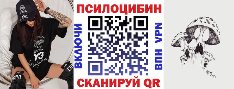 omg tor  Николаевск-на-Амуре  Галлюциногенные грибы Psilocybe 